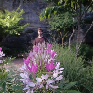 THE "WANDERER" WALK